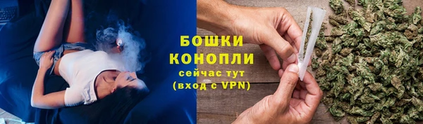 прущая мука Гусиноозёрск