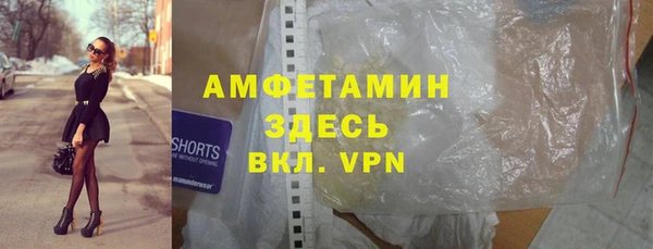 стаф Горняк
