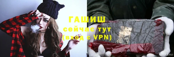стаф Горняк