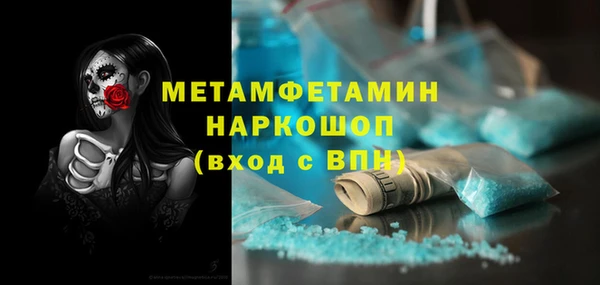 стаф Горняк