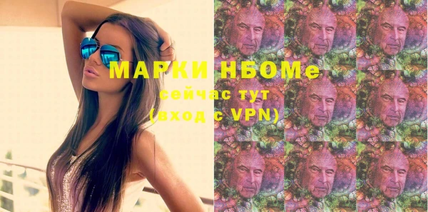 стаф Горняк