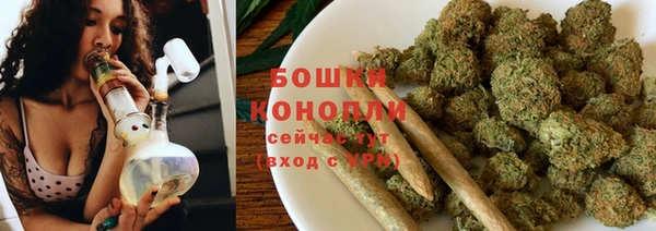 стаф Горняк