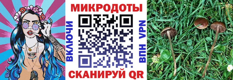 Псилоцибиновые грибы прущие грибы  omg ССЫЛКА  Назрань 